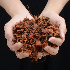 椰磚君子蘭蘭花種花多肉營養土粗顆粒椰殼磚椰土爬寵墊材種菜園藝