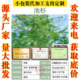 ˮɼ��N�� ��ɼ ����ɼľ��N ��N���ɼ ��ɼ�G����N��