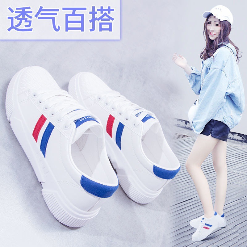 K01 블루