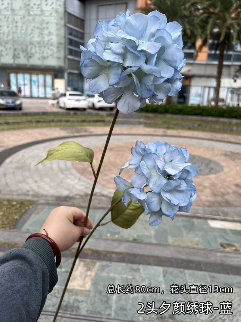 2头夕颜绣球-蓝.jpg
