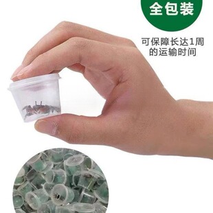 ��������з����С�з�^�pз���l����з��ˮз����з��*