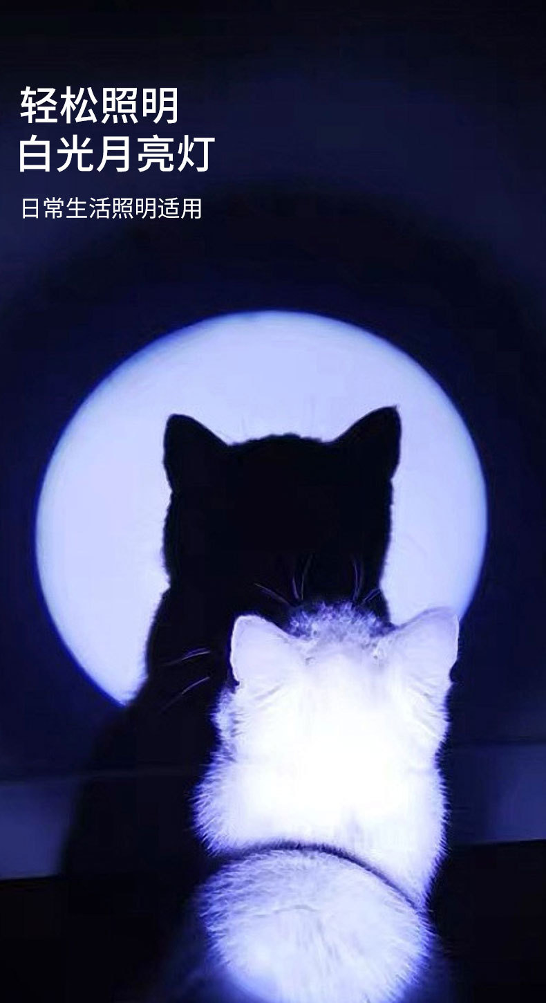 三合一逗猫玩具