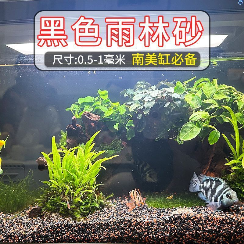 Lei Long Tank: Black rainforest sand [0.5-1mm]]