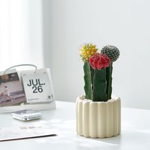 ��ɫ����������ɫ��M��Ʒ�N���_������ֲ�������k��������Gֲ