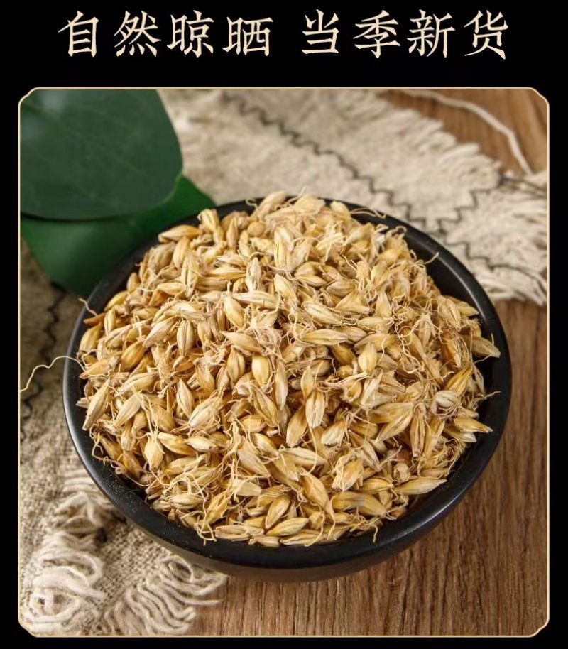Malt (Hordeum vulgare) — Dried Food-Herb Barley Sprout, 500g in use