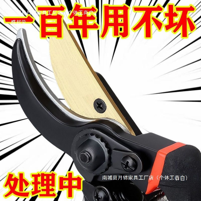 德国进口钢剪树剪子果树剪修枝优惠剪刀家用花木葡萄修剪镐斧