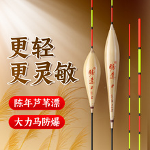 芦苇浮漂 黑坑竞技灵敏度高鲫鱼鲤鱼鳔 混养漂醒目加粗防爆顶鱼漂