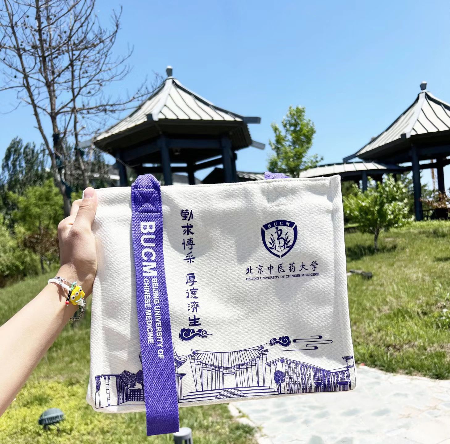 e42b956cc57376cd0490f1a6a69182