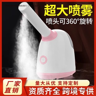Household Facial Steamer Opens Steam Engine Facial Steamer Pores Facial Nano Hot Spray Spray Hydrating Beauty Free Shipping