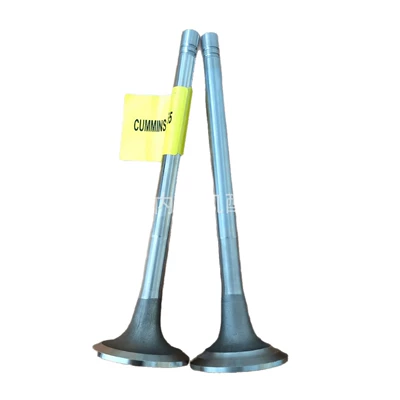 Valves and components NT855 intake valve