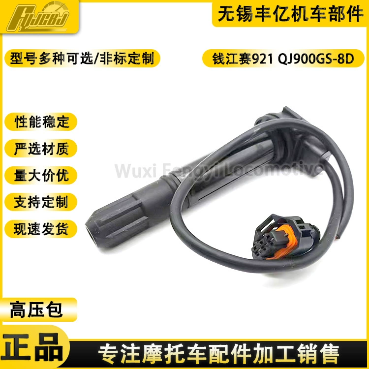 Qianjiang QJMOTOR мотоцикл гонок 921 высоковольтный пакет QJ900GS-8D высоковольтный пакет 900 катушка зажигания