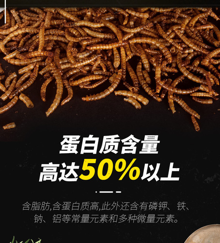 Rutin Chicken Bread Insect Snacks Yellow Mealworm Dried Parrot Golden Bear Feed Quail Hamster Hedgehog Nutritional Insects