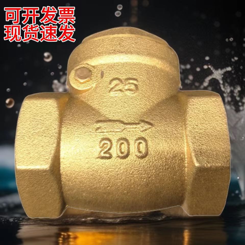 厂家直销黄铜水表前水管丝口链接单向作用逆止阀水泵卧式止回阀