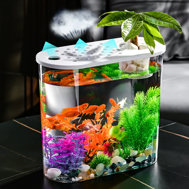 Transparent square rich bamboo hydroponic flower vase ornaments fish tank container goldfish green plant ornamental micro landscape ecological tank