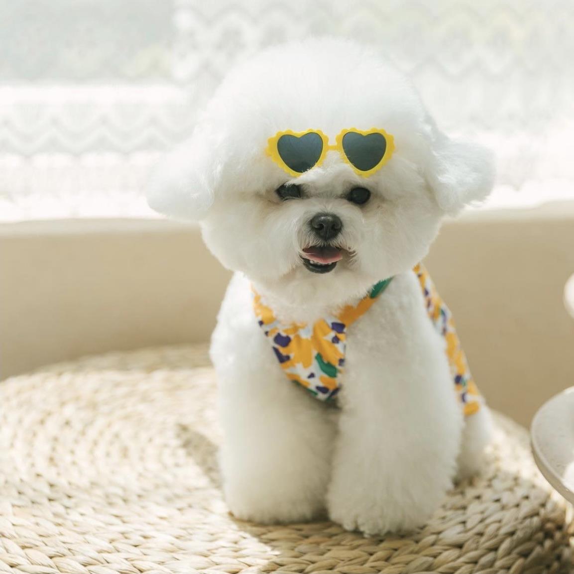 微信图片_20210919132716