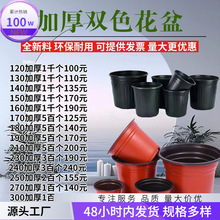 简易94育苗扦多肉批发双色回购24加厚次盆育苗盆