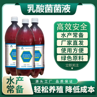 �S�Ҵ���N�N�������Һ����ˮ�|���o�c���������ƻ����������ᰴ