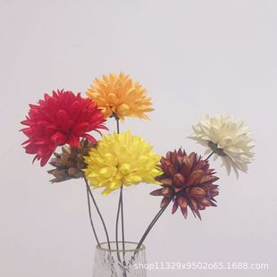 Combination fruit shell dried flower thousand tongue magnolia wholesale club home decoration dried flower factory wholesale dried flower magnolia ball