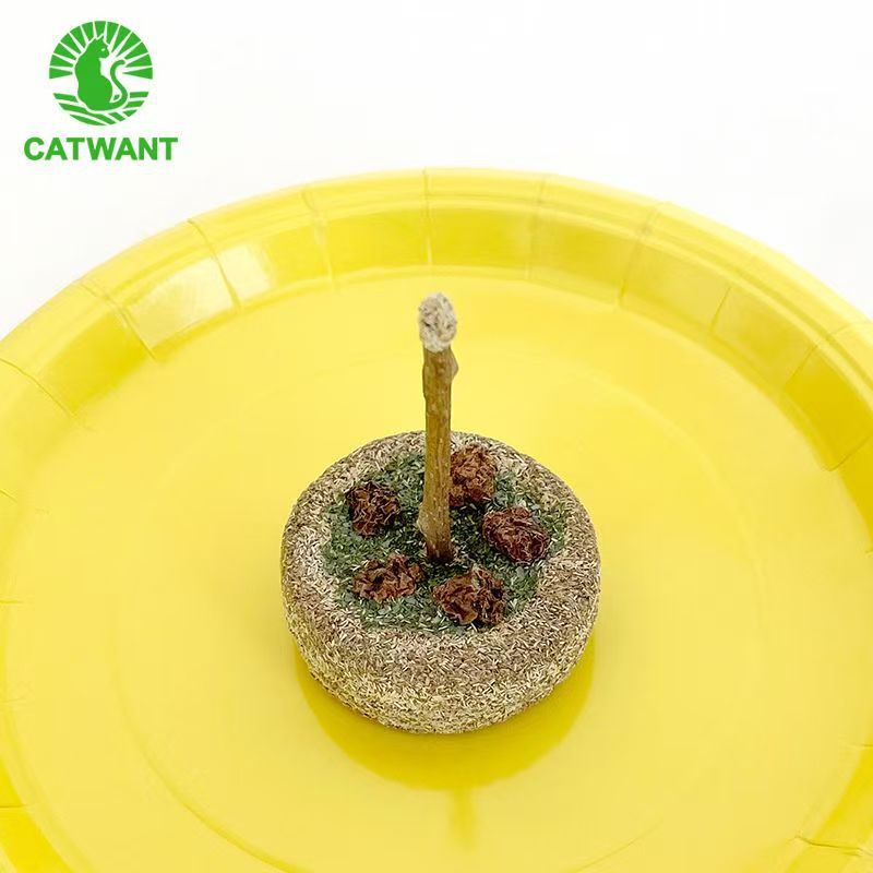 Catwant Cat Farm Mu Tian Polygonum Catnip Birthday Cake Teeth Cleaning Vitamins Trace Elements Edible