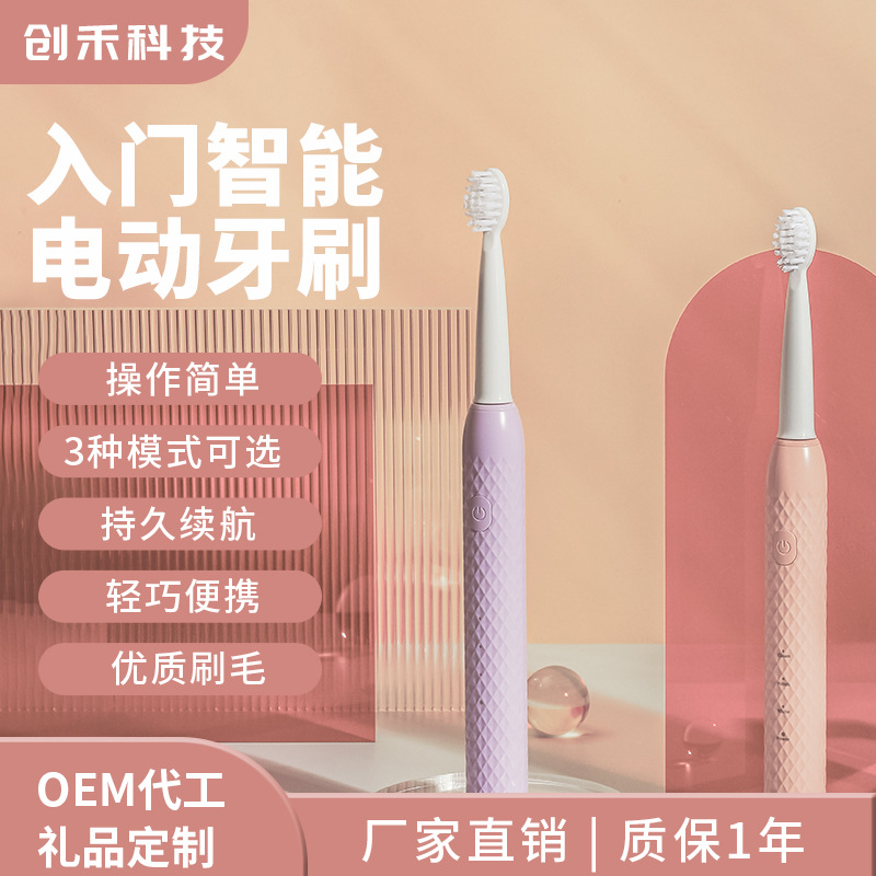 Adult Electric Toothbrush, Rechargeable, Soft Bristle Replacement Brush Head, Ipx7 Waterproof, Three-Speed, In-Stock Wholesale, Tooth Protection