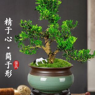 �S���Ϙ��辰����ȸ�ఙƤ����С�~���ԾGֲ�҃ȿ͏d���B�䘶ֲ��