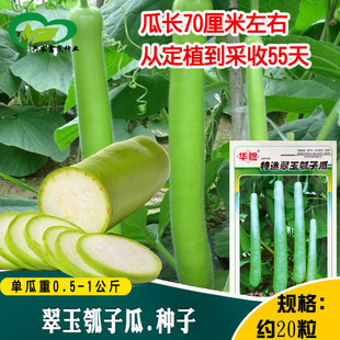 ������ӹϷN�� �r���ˈ@�������|��āζ����ӷN�� �߲˷N��