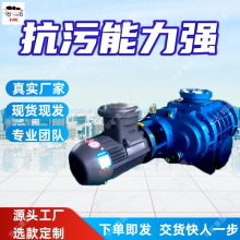 出售干式罗茨真空泵无油清洁真空泵ZJ260煤矿用干式罗茨真空泵