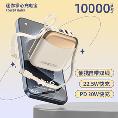 新しいパワーバンク大容量 10000 mAh コンパクトでポータブルな高速充電モバイル電源ギフト用ケーブル付き