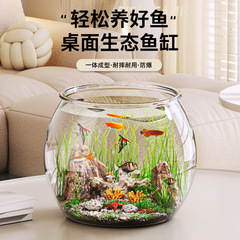広々とした庭の小さい金魚鉢の造景は魚の専用の水草のかめのfishタンクの透明なデスクトップの微景のかめの客間を観賞します。
