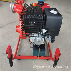 内燃式灭火森林泵 手抬式高压森林泵参数 便携式消防泵 图片