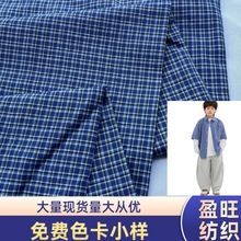 厂家直销 爆款蓝色色织格 连衣裙裤子衬衫服装面料 宠物服饰布料