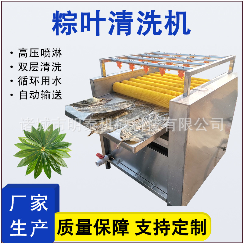 全自动粽叶清洗机 箬竹叶苇叶双层毛刷清洗设备粽叶蒸煮杀菌设备
