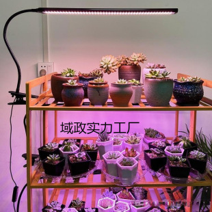 Wholesale Succulent Fill Light Anti-Stunting Lamp Timing Function Clip Type Full Spectrum Led Potted Plant Growth Lamp