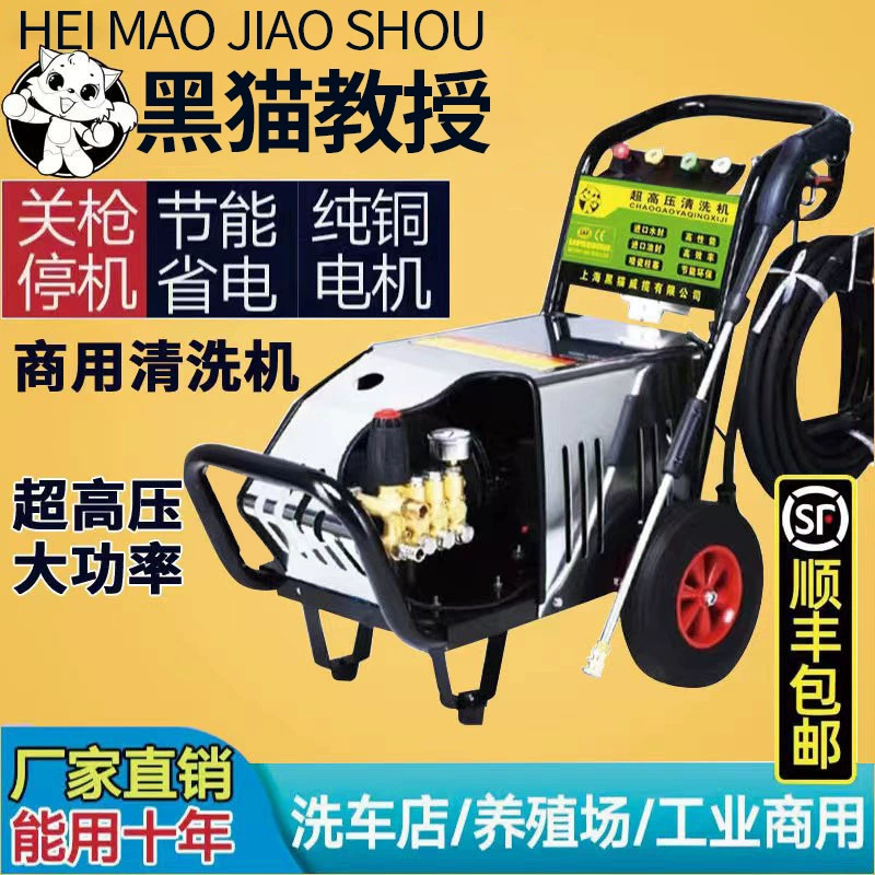 Автоматическая мойка высокого давления Black Cat Professor для коммерческого использования, промышленная очистка, сельское хозяйство, промышленная санитария