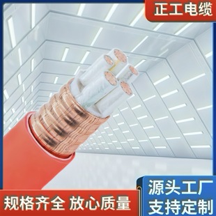 NG-A0.6/1KV�V���|�^��������| ���ٵV�����������|��������|