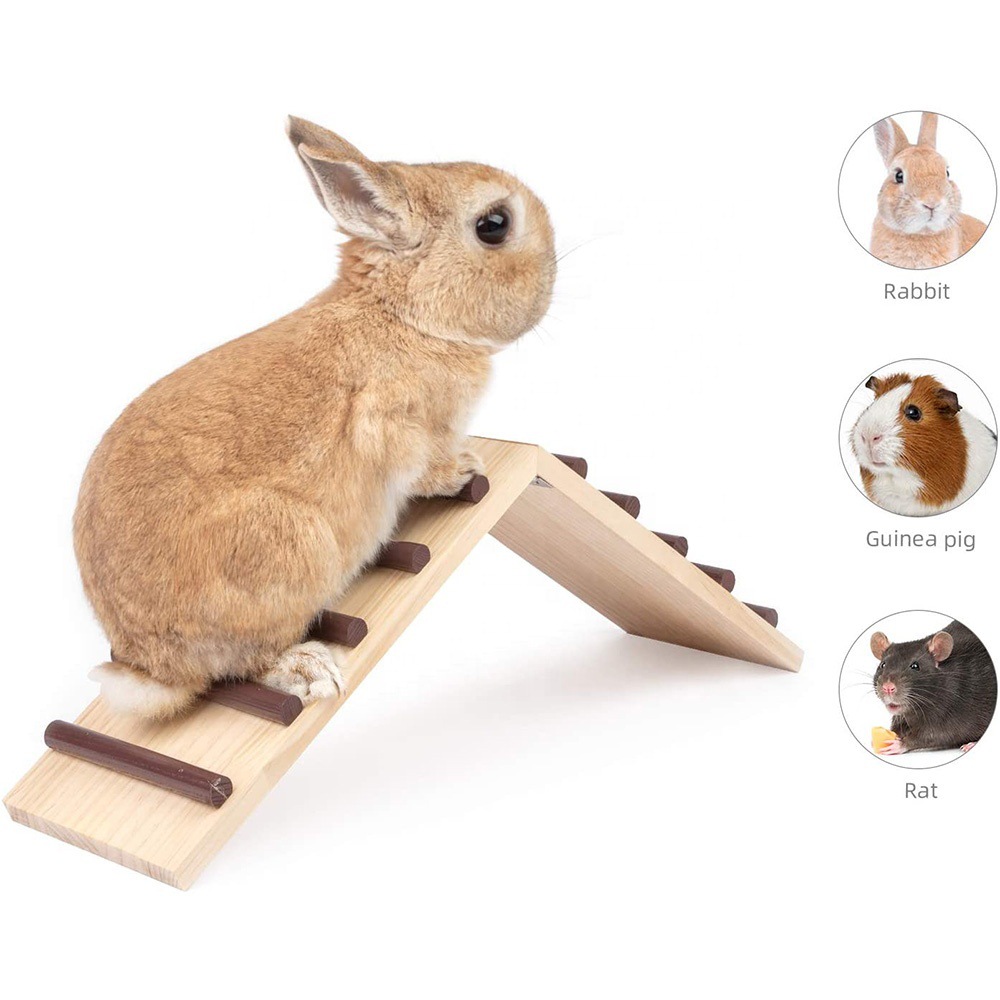 H435d3ecc872644bb808416e20ed5b