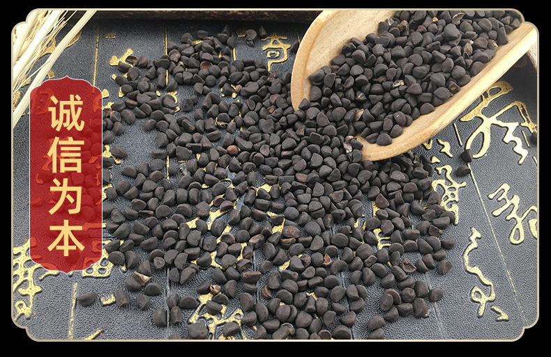 Black Pharbitis Seed Hei Chou Qian Niu Zi Dried Morning Glory Seeds Traditional Chinese Herb 500g in use