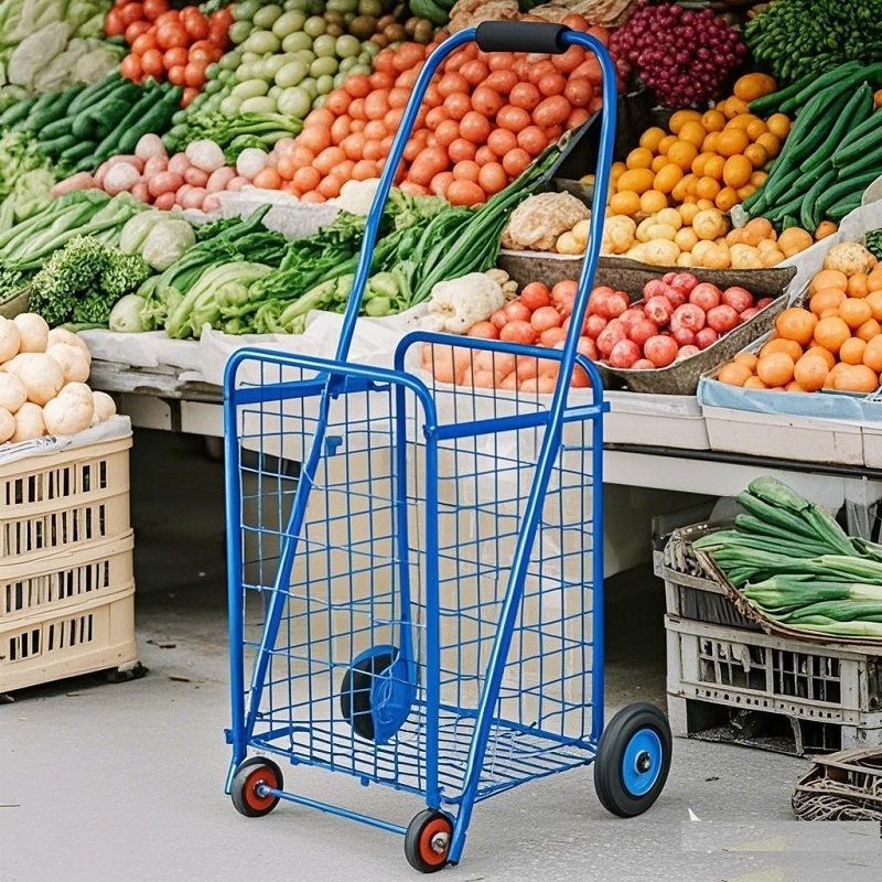 d3c337c0-dbdf-45ff-a787-b7d16eafc84e.jpe