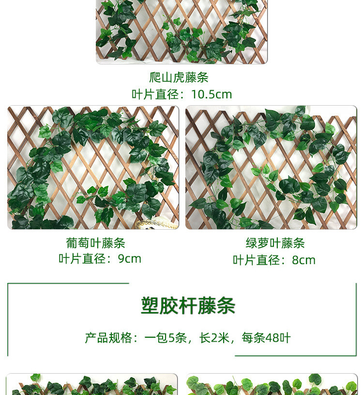 绿植藤条详情_02.jpg