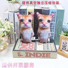 �F؛�羳��Ʒel gato cat plush �ɐ۷���؈��ë�q��ż����؈��