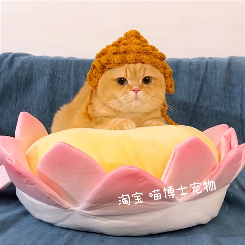 Домашние животные шерстяные шапки Будды кошки собаки шерстяные шапки ручной работы