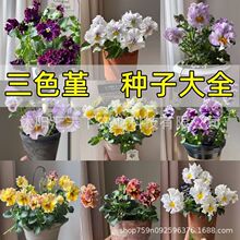 ��ɫ�������ͺ�ʳ�û��ܲ��Ѻ��������滨؈Ę���N���ļ����N�_��