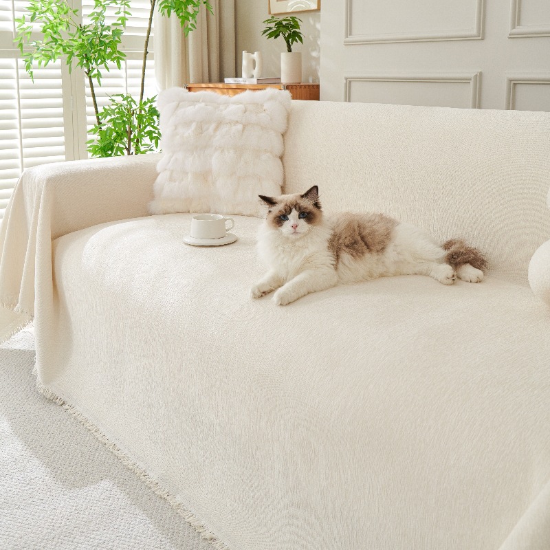 Solid color sofa
