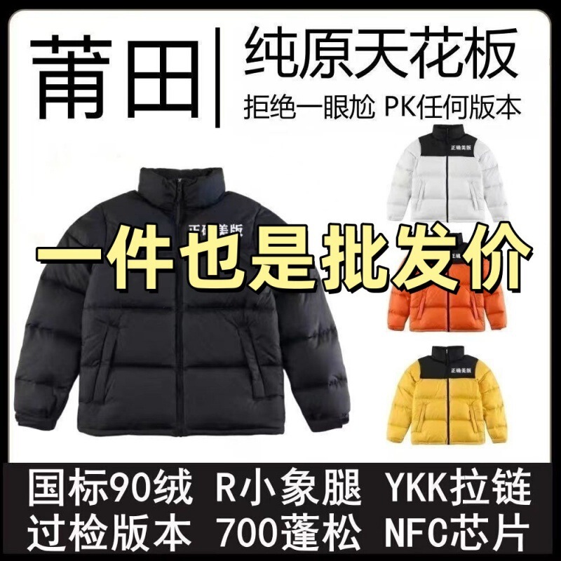 North Face down Jacket Windproof and Waterproof Tnf700 Putian Factory 1996 Embroidered Thickened Warm Coat