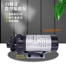 无刷微型电动隔膜泵工程塑料高压自吸泵小型直流抽水耐腐蚀泵220v