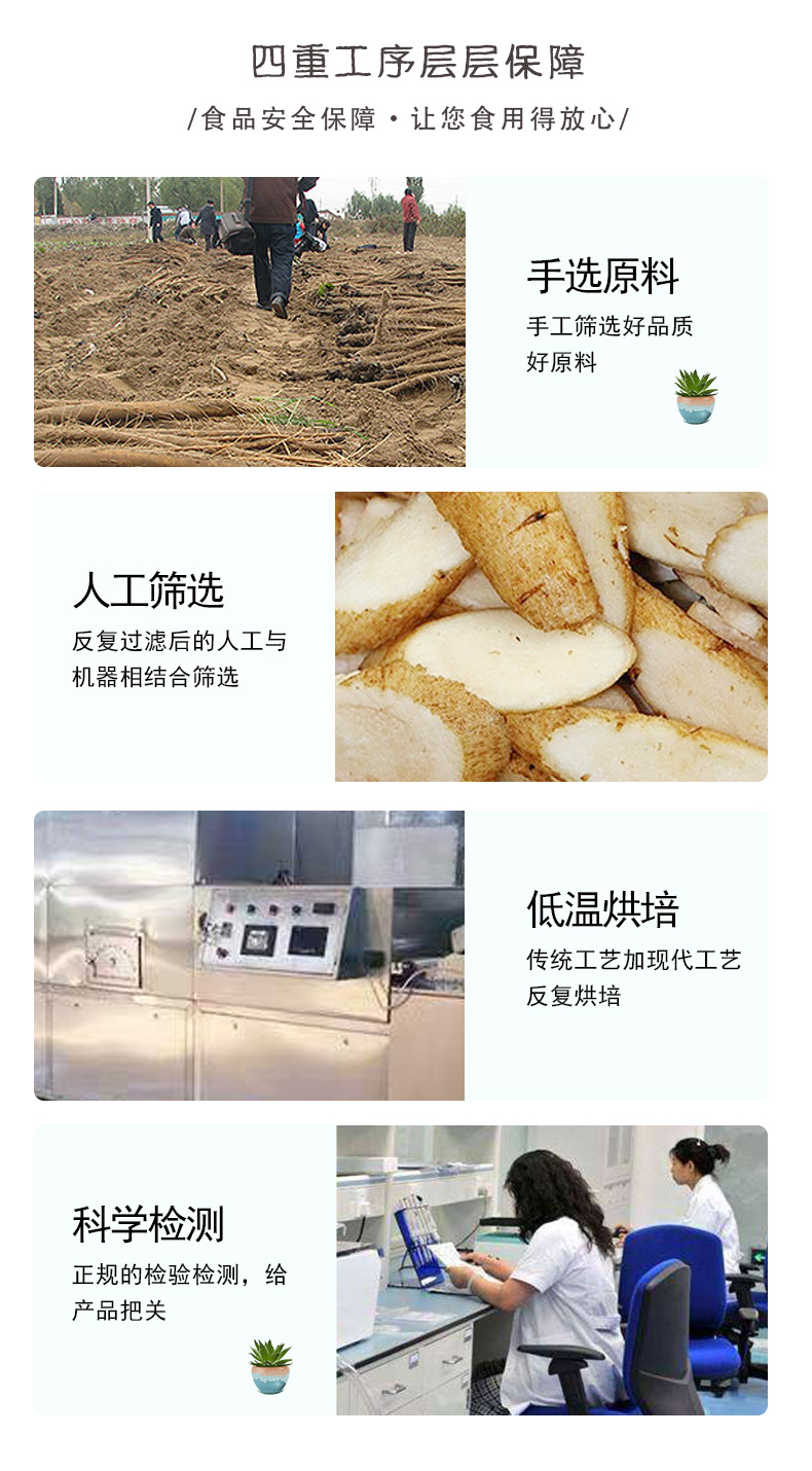 Burdock Root Tea Slices Niu Bang Gen 50g Freeze Dried Herbal Tea Cuts quality and texture