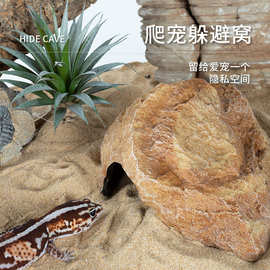 新派WACOOL玩酷爬宠躲避仙人掌装饰树化石造景摆件蜥蜴守宫蛇躲藏