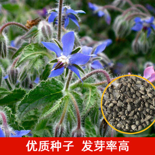 �����ķN���ļ��׷N����ֲ���ͥ�@ˇ�̨ͥԺ���Ի��Ѵ������N��