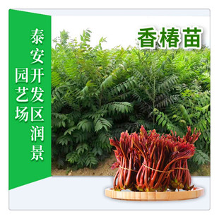 �����r�I �ṩ�����㴻�����෽�� 1����2����3�����㴻��r��