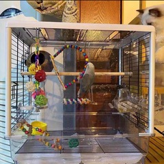 麓f豪華鸚鵡鳥籠大型牡丹虎皮玄鳳專用互動鸚鵡籠大號透明觀賞鳥